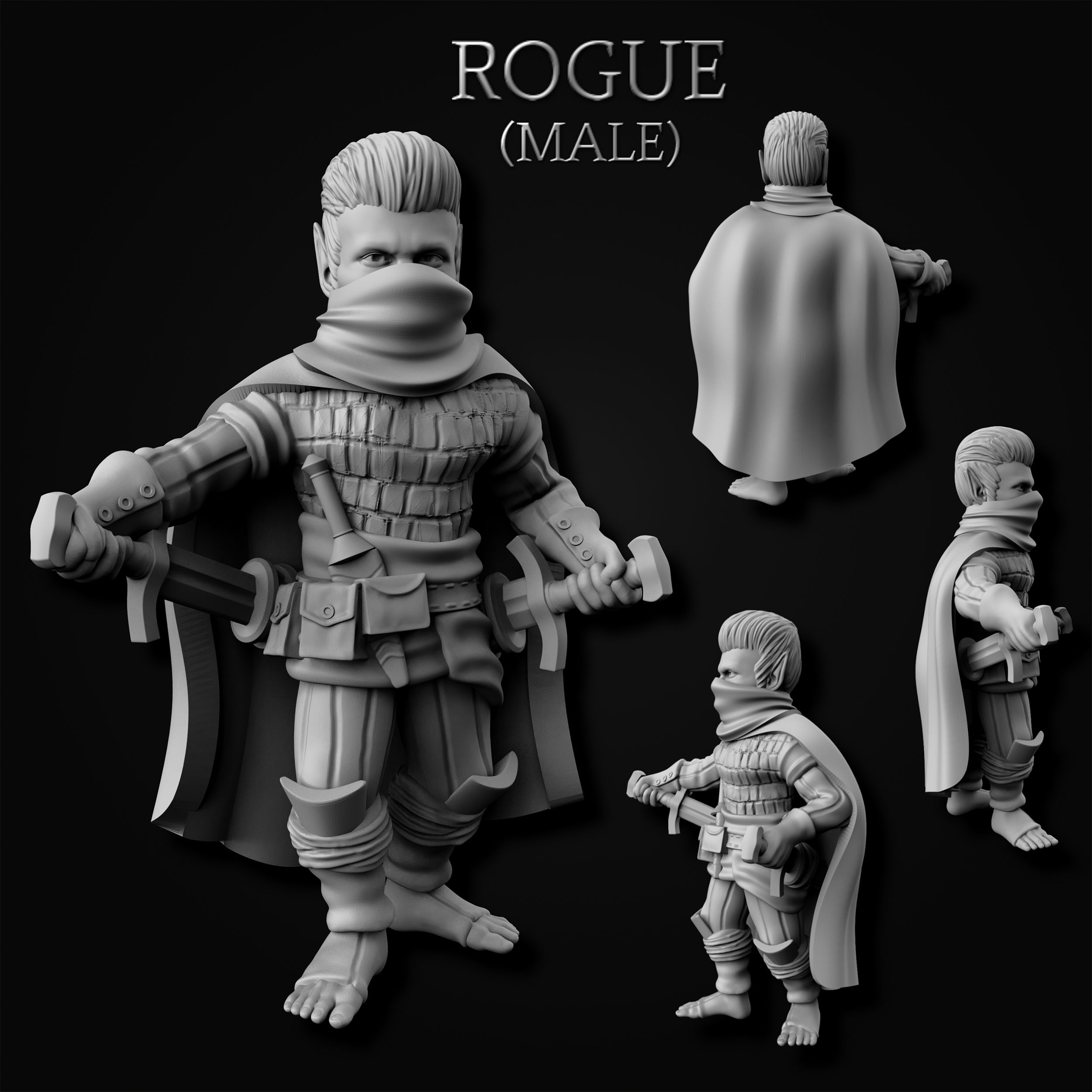 Gnome Rogue - Male (MF)