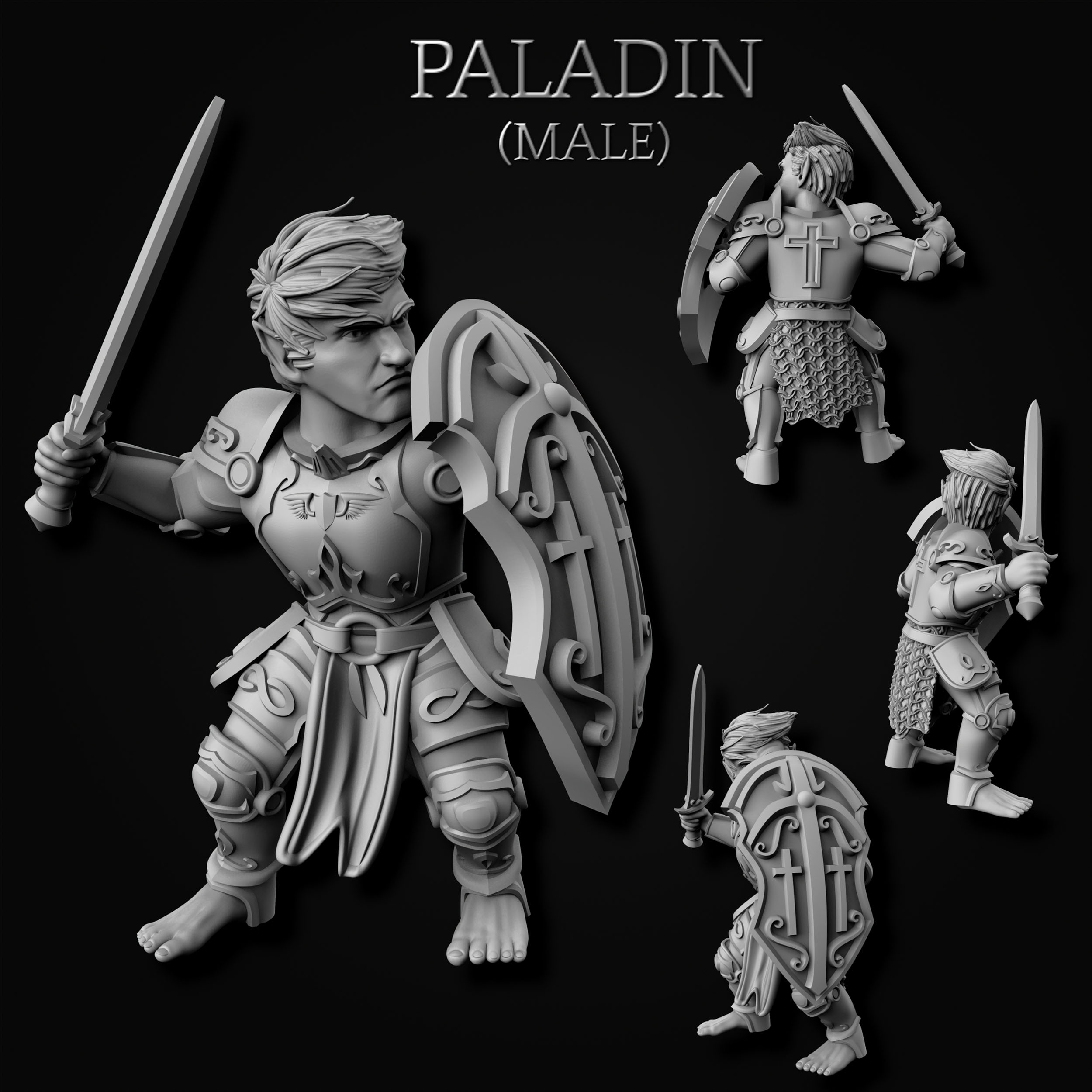 Gnome Paladin - Male (MF)