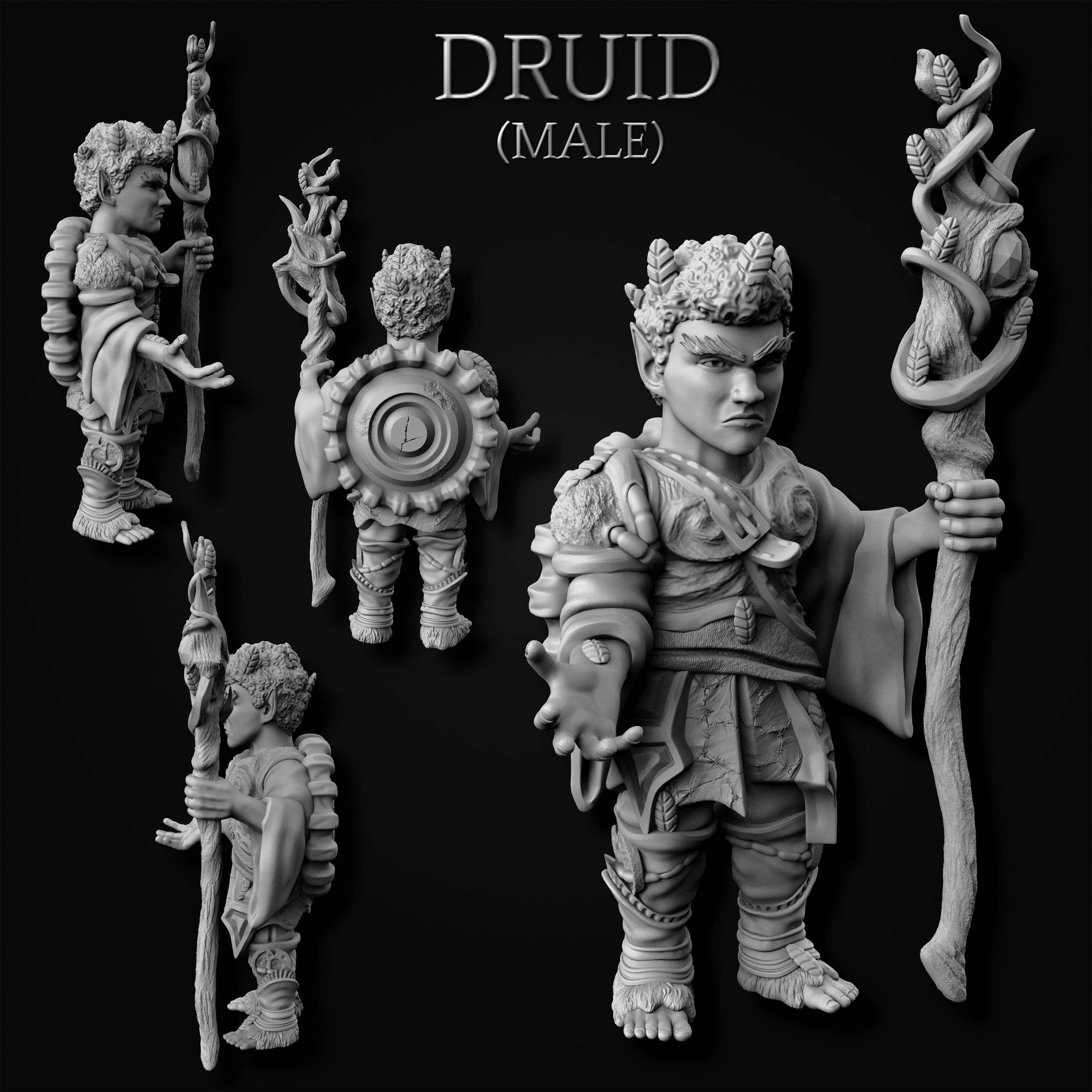 Gnome Druid - Male (MF)